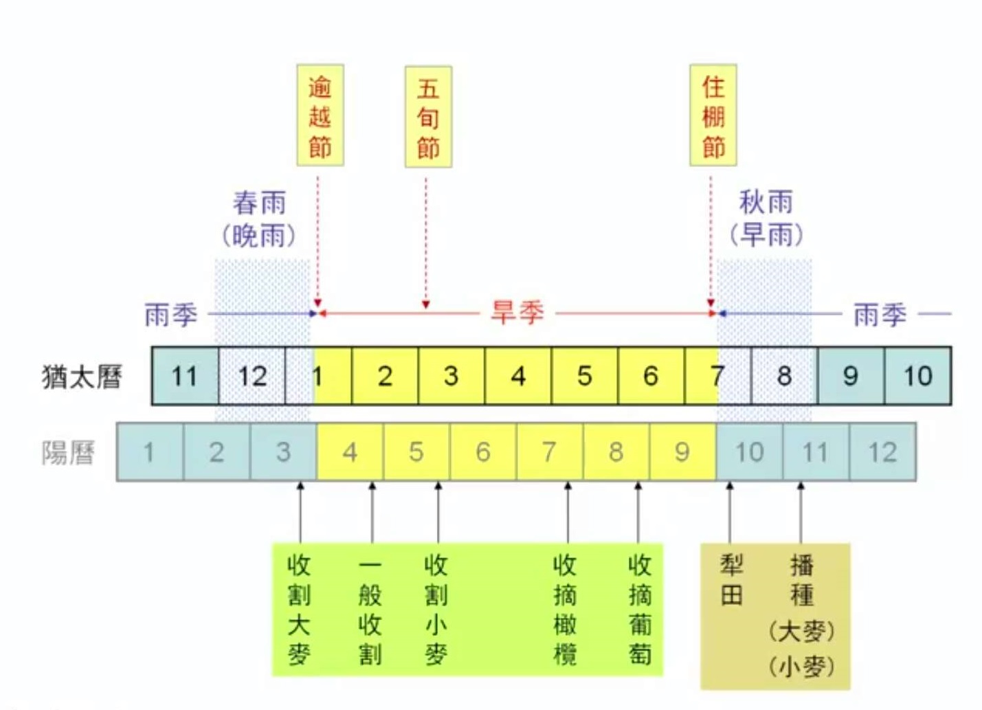 上图：耶和华的节期和古代以色列人的收割季节。以色列人从初熟节到五旬节收割大麦和小麦，五旬节之后收取橄榄和葡萄，收完葡萄就庆祝住棚节。